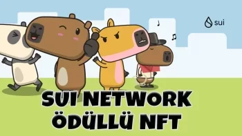 suinftkapak