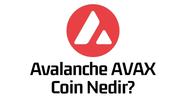 Avalanche AVAX Coin Nedir?