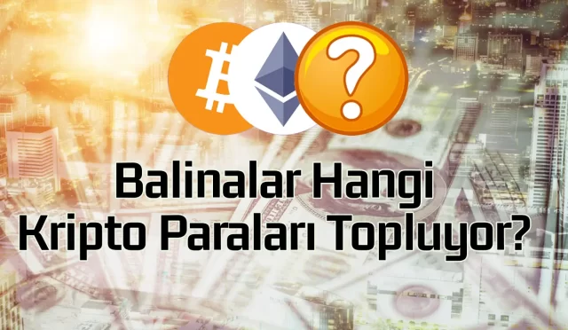 Kripto Balinaları Hangi Kripto Paraları Topluyorlar