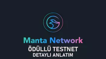 Dolphin Testneti v2 Manta Network