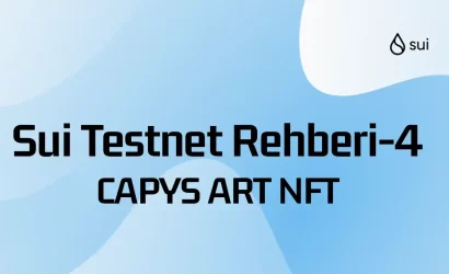 sui-testnet-rehberi-4