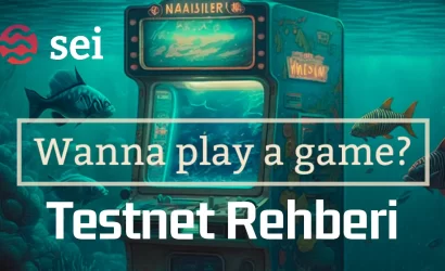 sei-oyun-testnet-rehberi