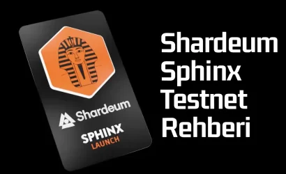 shardeum-node-test-rehberi