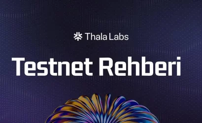 thala-labs-testnet-rehberi (1)