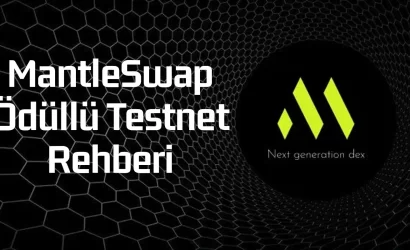 mantleswap-testnet-rehberi