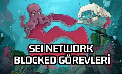 sei-network-blocked-gorevleri