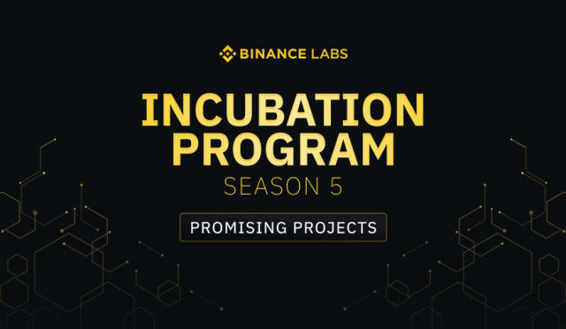 Binance Labs, Kuluçka Programının 5. Sezonunda Beş Projeye Yatırım Yapıyor