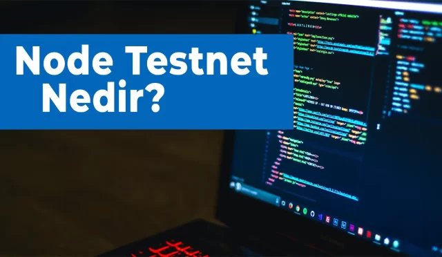 Node Testnet Nedir ve Nasıl Kullanılır?