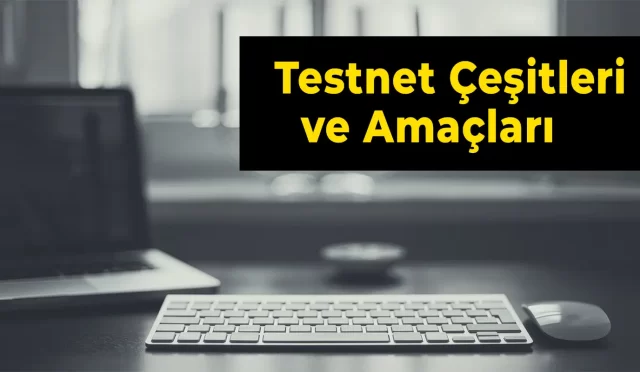 Testnet Çeşitleri ve Testnetleri Amacı