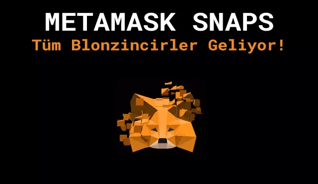 MetaMask Snaps Nedir? Blokzincirler Arası Entegrasyon