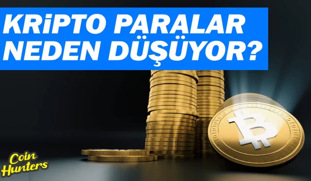 Kripto Paralar Neden Düşüyor veya Artıyor? Kripto Para Piyasasının Dinamikleri