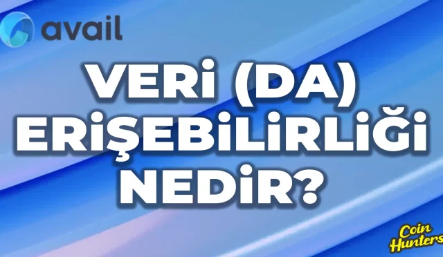 Veri Erişilebilirliği (DA) Nedir?