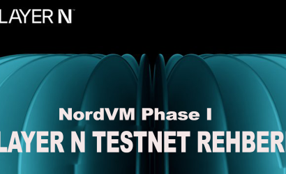layern-testnet