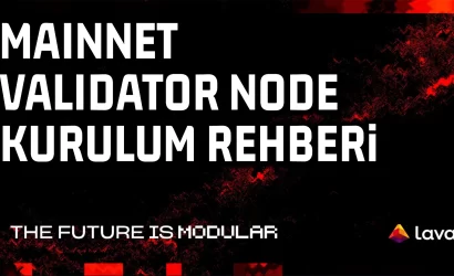 lava network mainnet validator